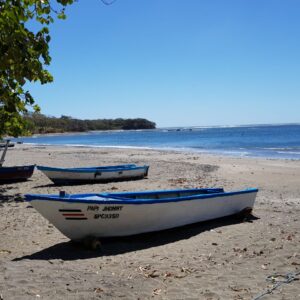 Discover the Nosara Surroundings with Gypsy Cab nosara