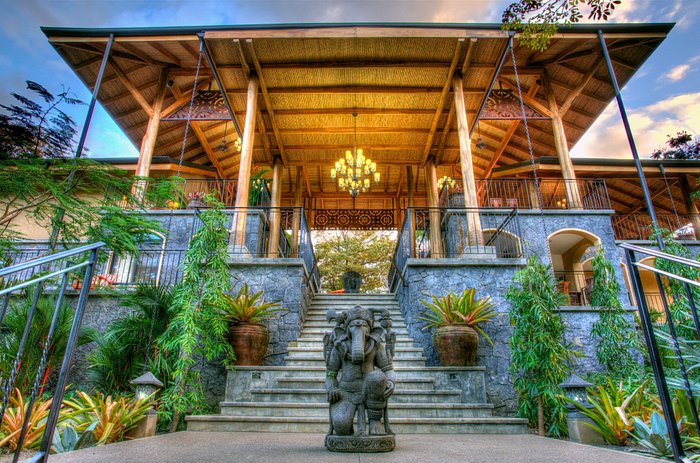 Bodhi Tree Yoga Resort with Gypsy Cab Nosara