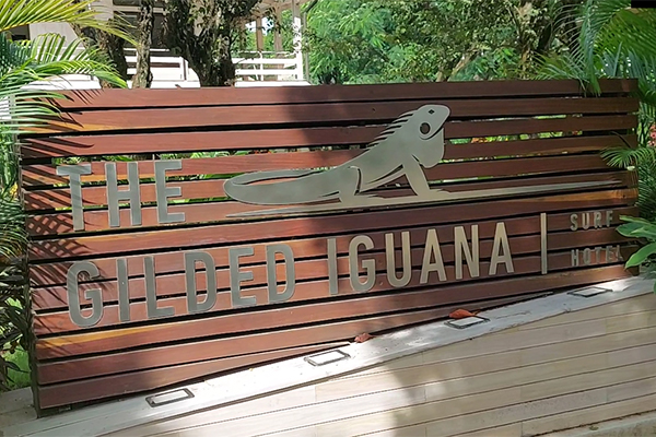 Gilded Iguana sign at nosara