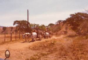 Gypsy Cab Nosara History