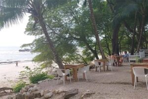 Culinary Landscape of Nosara with Gypsy Cab Nosara