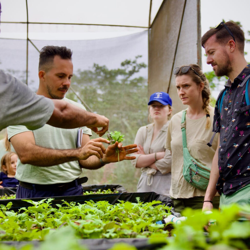 Positive Global Impact guide in action